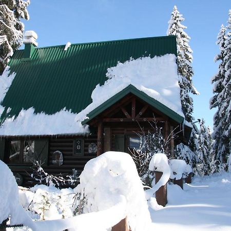 Durmitor Chalet Žabljak Εξωτερικό φωτογραφία
