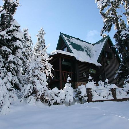 Durmitor Chalet Žabljak Εξωτερικό φωτογραφία