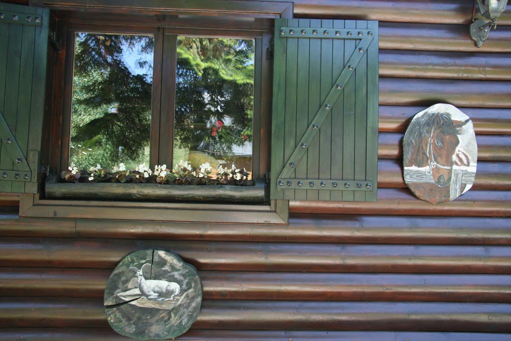 Durmitor Chalet Žabljak Εξωτερικό φωτογραφία