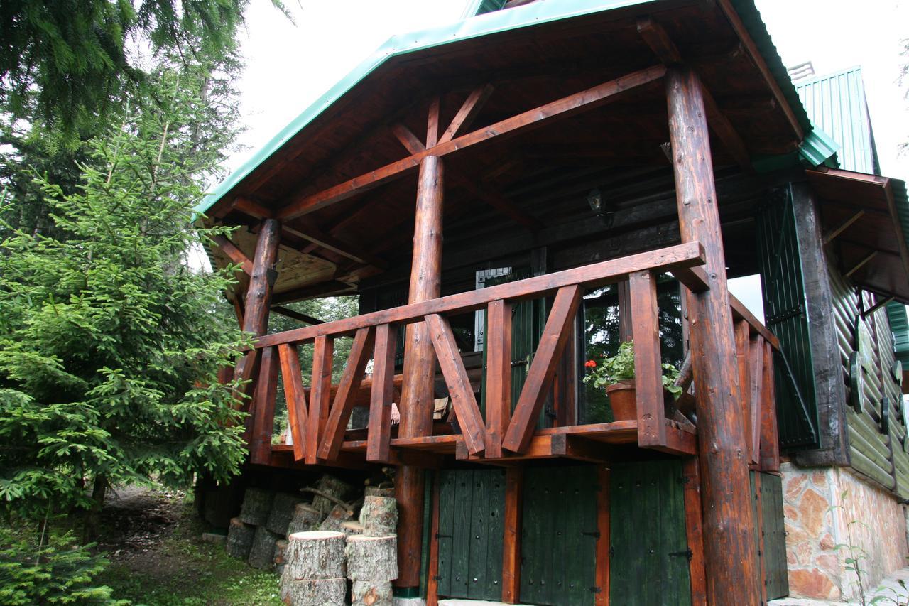 Durmitor Chalet Žabljak Εξωτερικό φωτογραφία