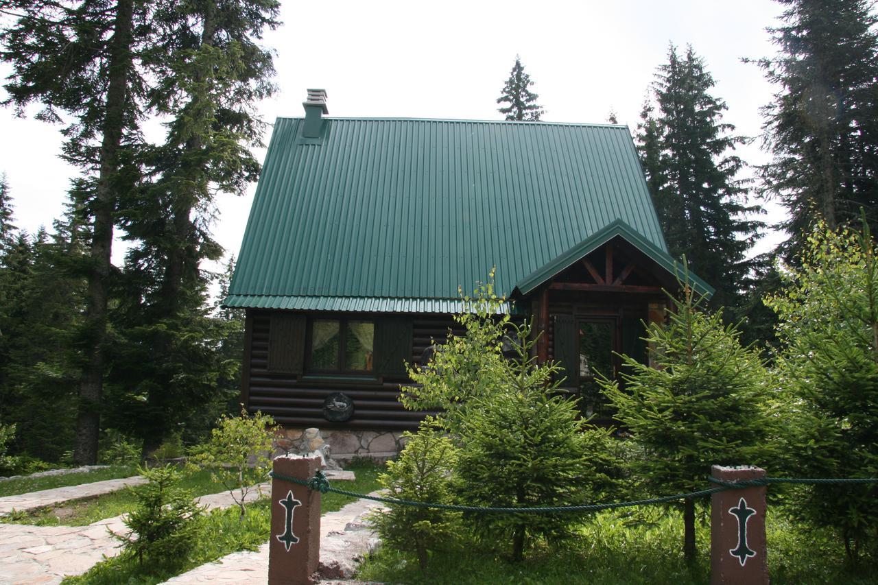 Durmitor Chalet Žabljak Εξωτερικό φωτογραφία