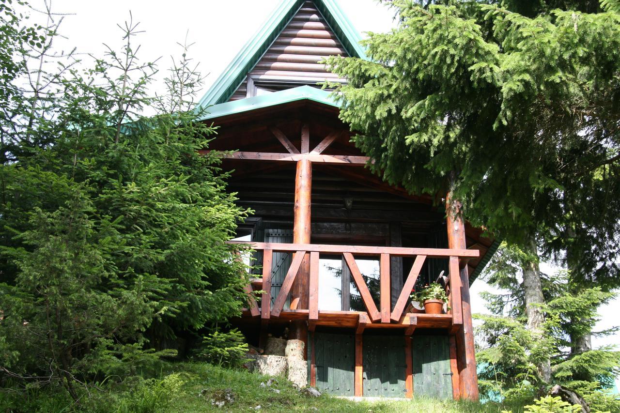 Durmitor Chalet Žabljak Εξωτερικό φωτογραφία