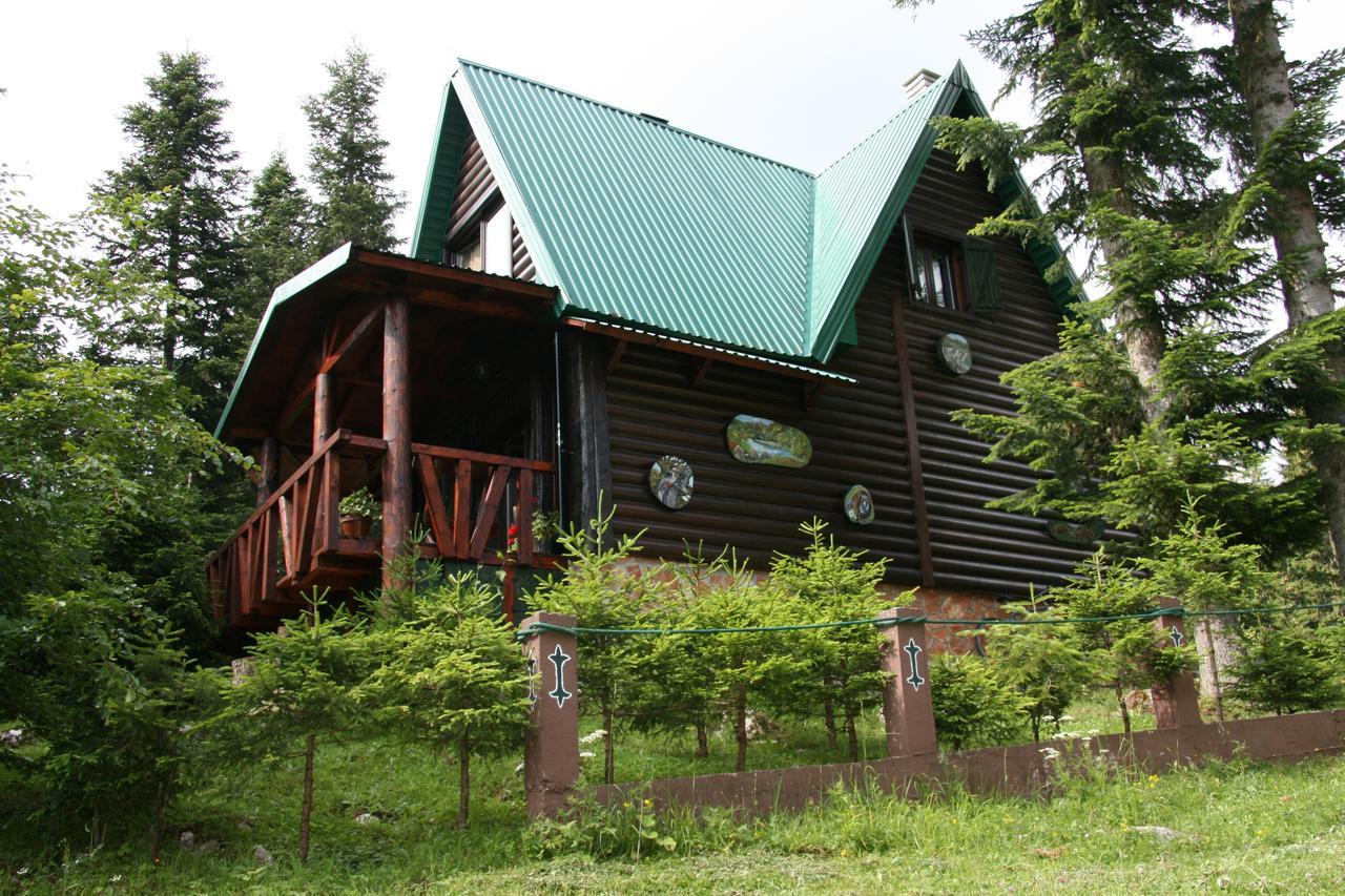 Durmitor Chalet Žabljak Εξωτερικό φωτογραφία