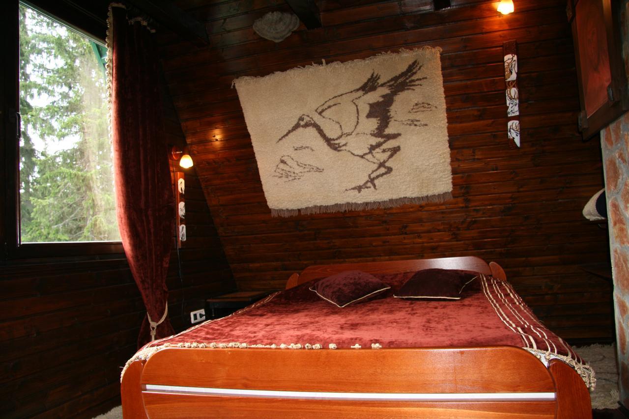 Durmitor Chalet Žabljak Εξωτερικό φωτογραφία