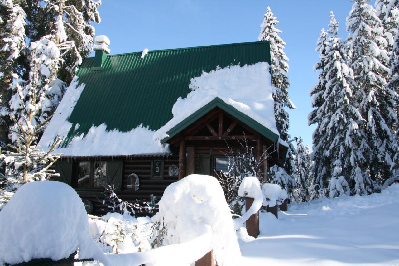 Durmitor Chalet Žabljak Εξωτερικό φωτογραφία