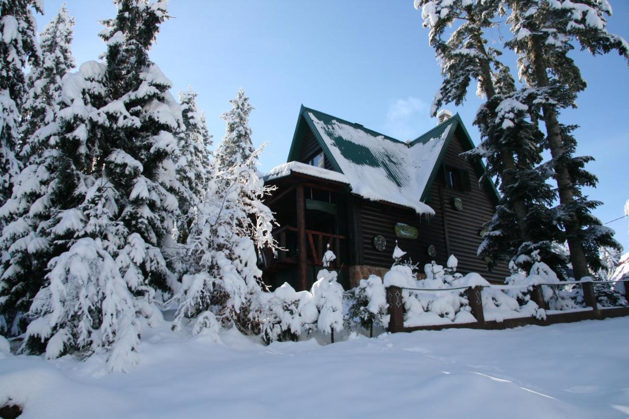 Durmitor Chalet Žabljak Εξωτερικό φωτογραφία